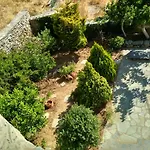 Cyclades Olive Museum's 3*