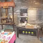 Cyclades Olive Museum's بيت ضيافة Pitrofos