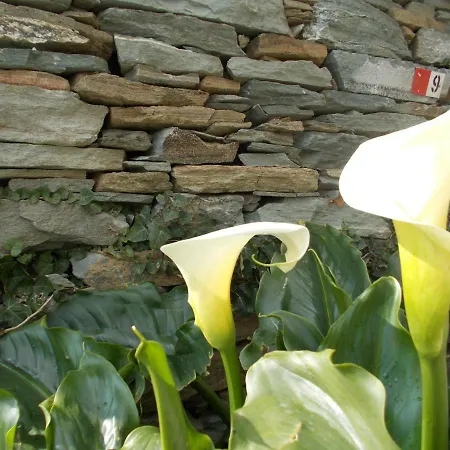 招待所 Cyclades Olive Museum's 3*