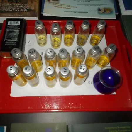 招待所 Cyclades Olive Museum's 3*