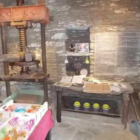 Cyclades Olive Museum's 招待所 Pitrofos