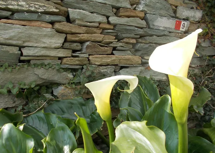 Penzion Cyclades Olive Museum's 3*