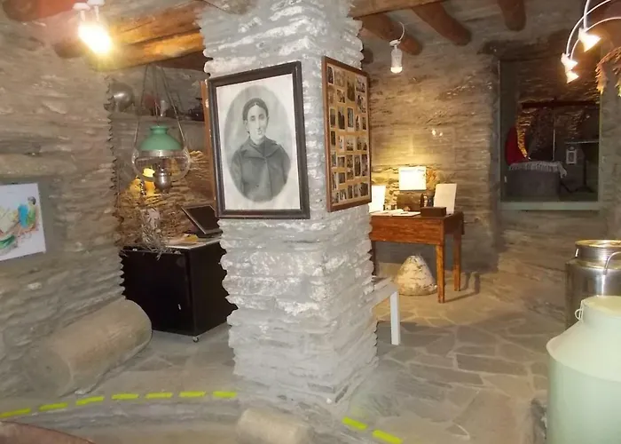 Cyclades Olive Museum's Penzion