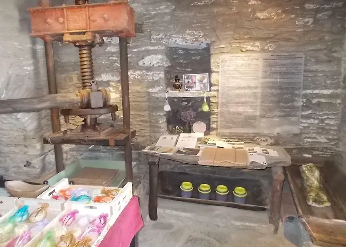 Cyclades Olive Museum's Penzion Pitrofos